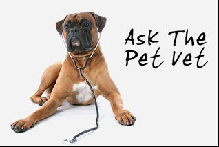 Ask The Pet Vet