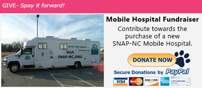 Mobile Hospital Fundraiser